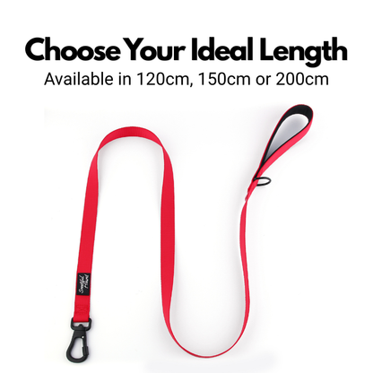 Secure Locking Dog Lead With Carabiner Clip - Padded Handle