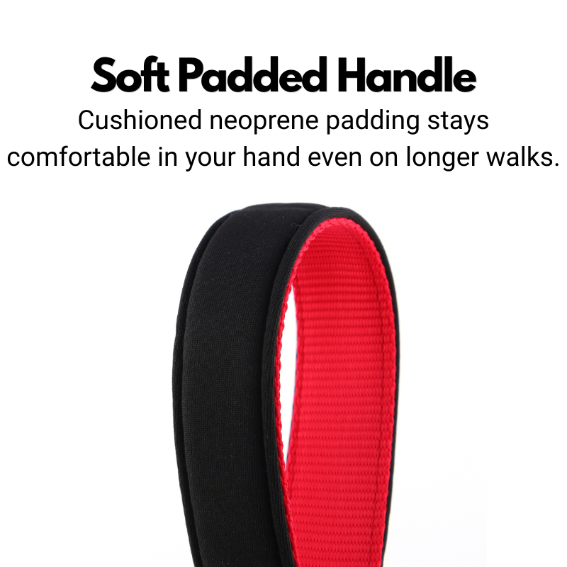 Double Handle Dog Lead - Padded Dog Leash With Two Handles - 180cm