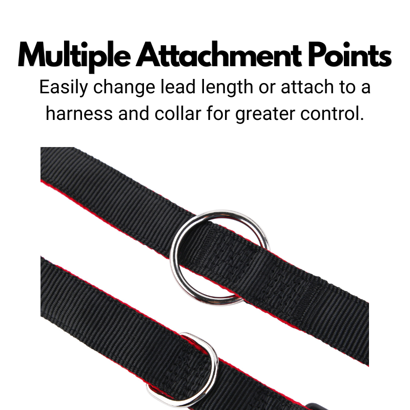 Double Ended Dog Lead - Training Lead With Comfort Mesh Padding