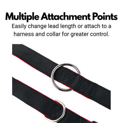Double Ended Dog Lead - Training Lead With Comfort Mesh Padding