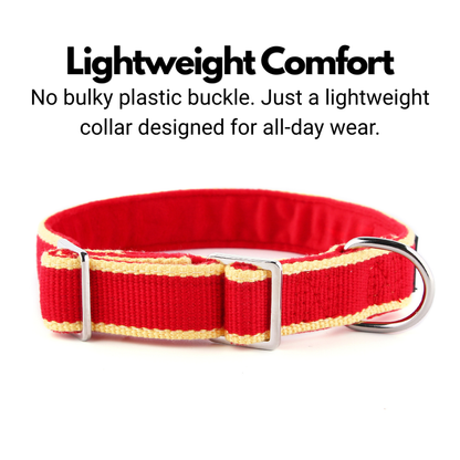 House Collar For Greyhounds & Whippets - Buckleless, Organic Bamboo & Soft Velvet Lining