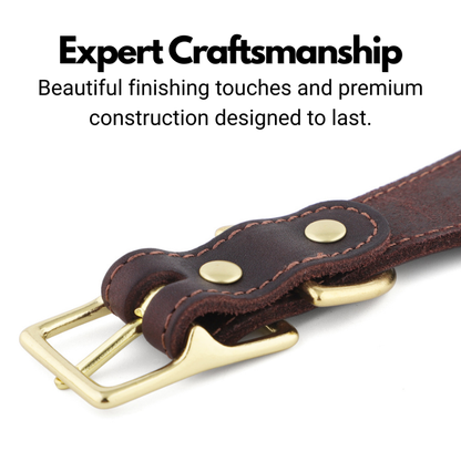 Leather Fishtail Collar For Whippets, Greyhounds and Lurchers