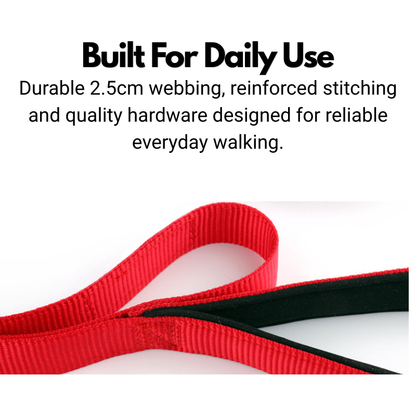 Double Handle Dog Lead - Padded Dog Leash With Two Handles - 180cm
