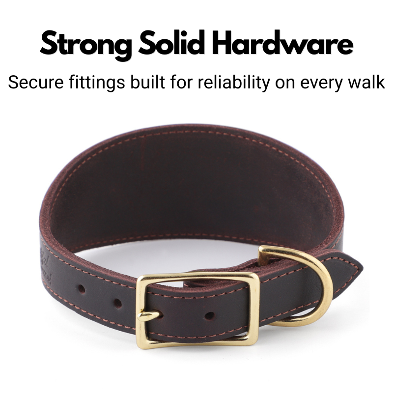Leather Fishtail Collar For Whippets, Greyhounds and Lurchers