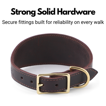 Leather Fishtail Collar For Whippets, Greyhounds and Lurchers