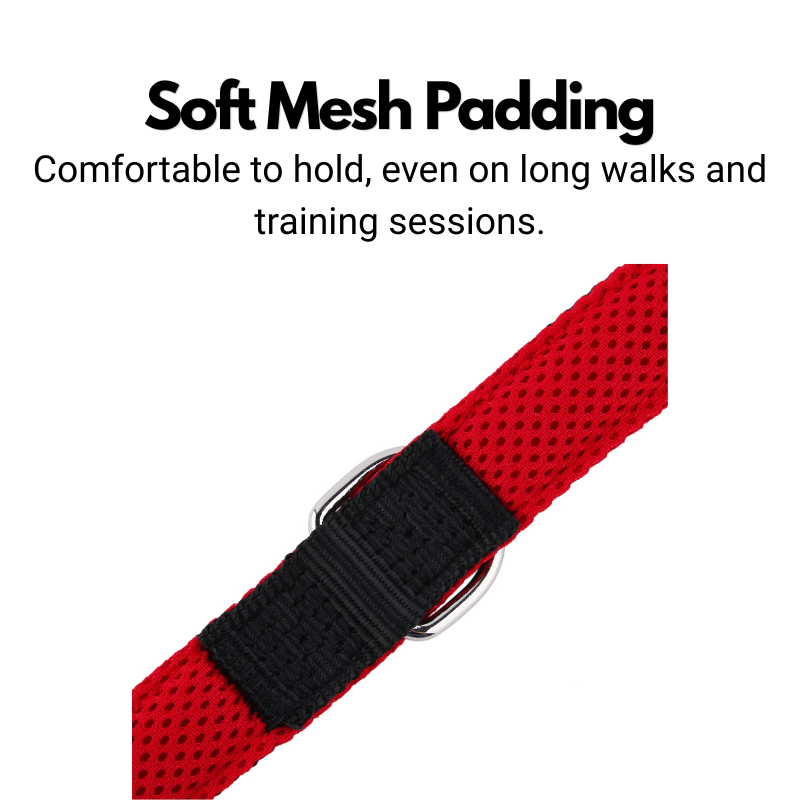 Double Ended Dog Lead - Training Lead With Comfort Mesh Padding
