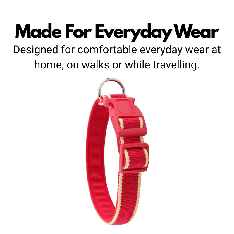 House Collar - Organic Bamboo & Soft Velvet Lining - Quick Release Buckle