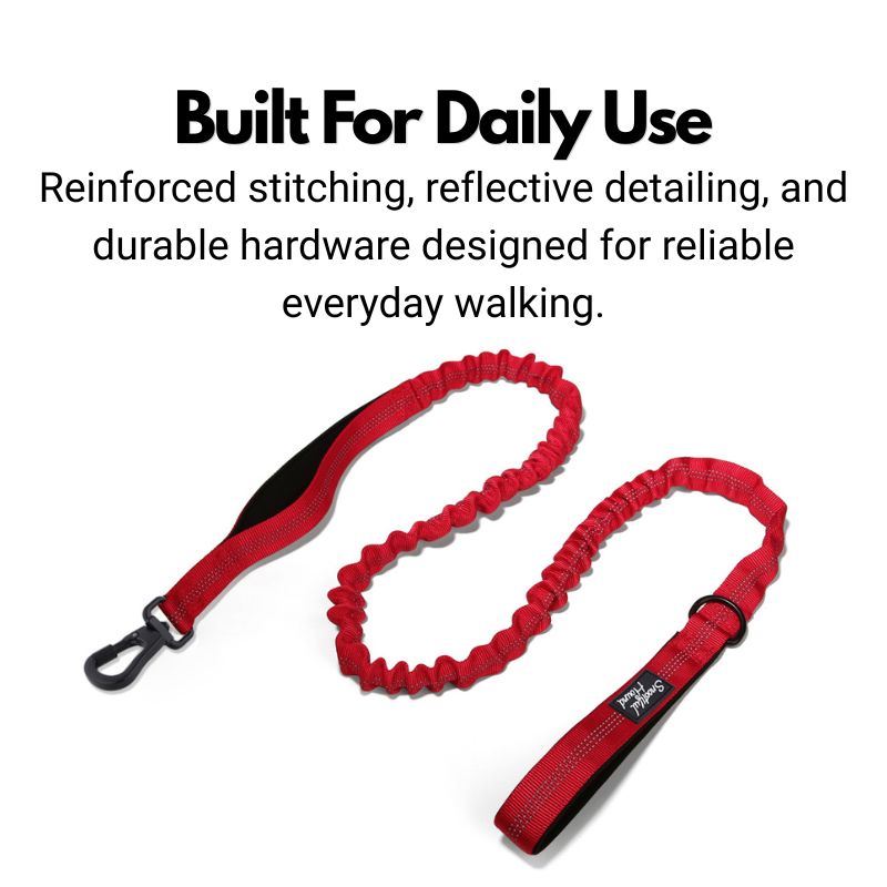 Secure Bungee Dog Lead With Carabiner Locking Clip - Double Handle