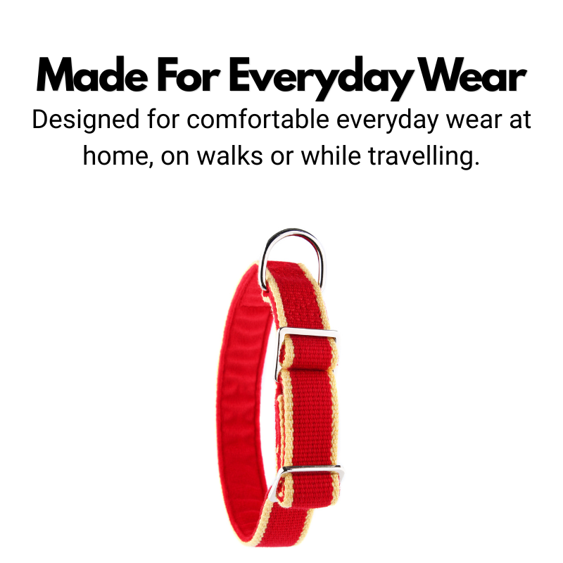 House Collar For Greyhounds & Whippets - Buckleless, Organic Bamboo & Soft Velvet Lining
