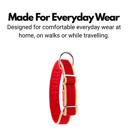 House Collar For Greyhounds & Whippets - Buckleless, Organic Bamboo & Soft Velvet Lining