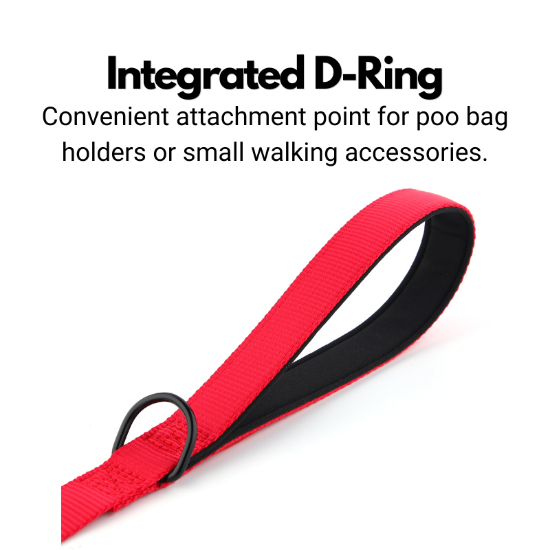 Secure Locking Dog Lead With Carabiner Clip - Padded Handle