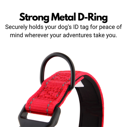 ID Dog Collar - Padded & Reflective- Greyhounds & Whippets