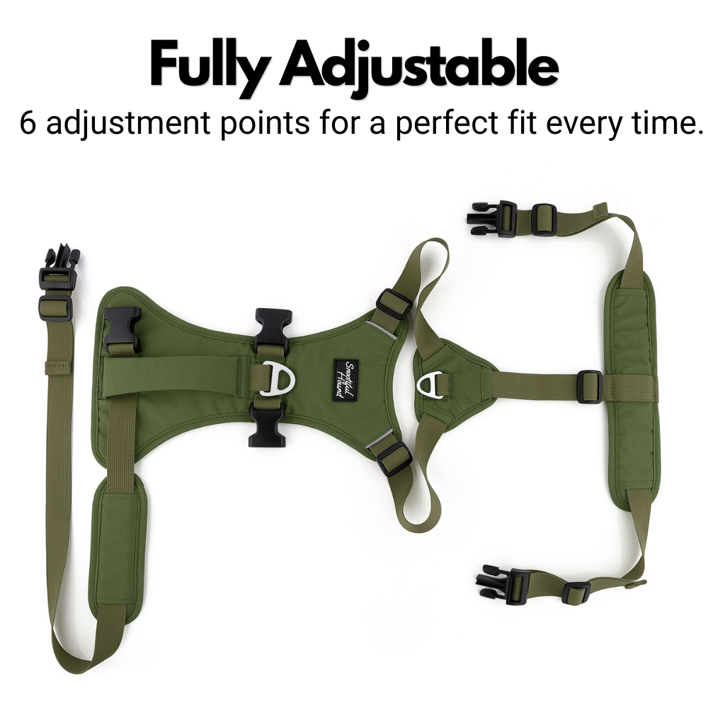 Lightweight Summer Harness for Sighthounds | Breathable, Comfortable & Escape Proof