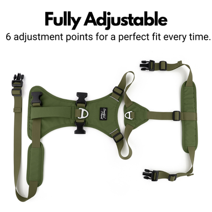 Lightweight Summer Harness for Sighthounds | Breathable, Comfortable & Escape Proof