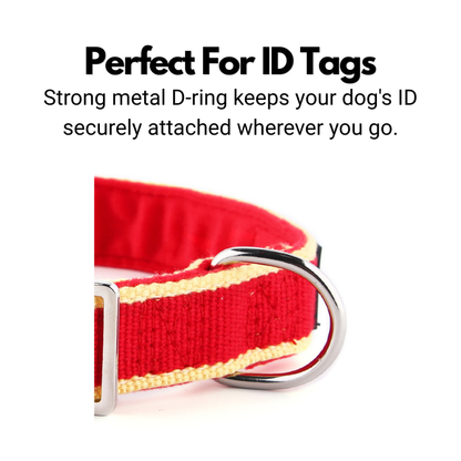 House Collar For Greyhounds & Whippets - Buckleless, Organic Bamboo & Soft Velvet Lining