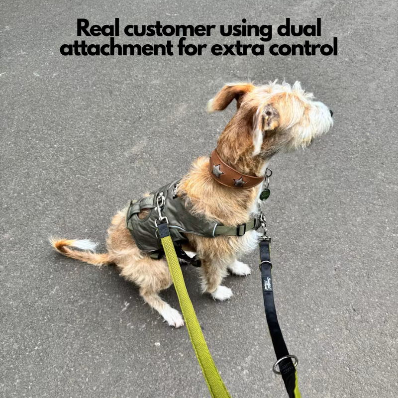 Double Ended Dog Lead - Training Lead With Comfort Mesh Padding