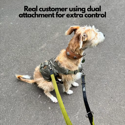 Double Ended Dog Lead - Training Lead With Comfort Mesh Padding