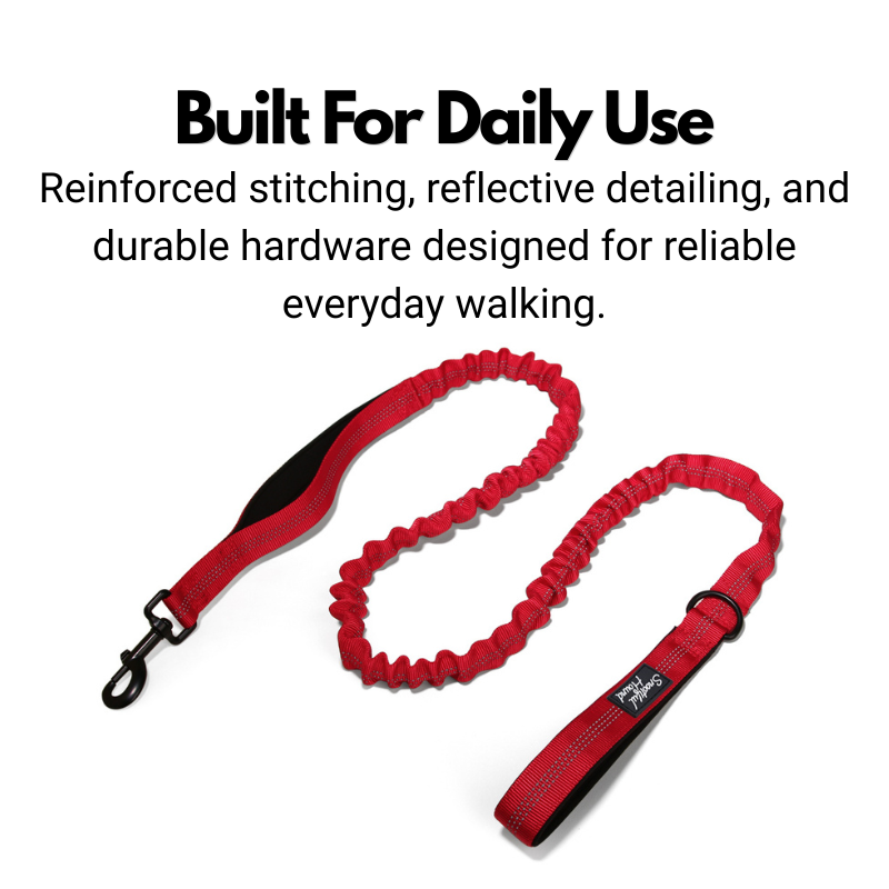 Bungee Dog Lead - Shock Absorbing Lead With Double Handles