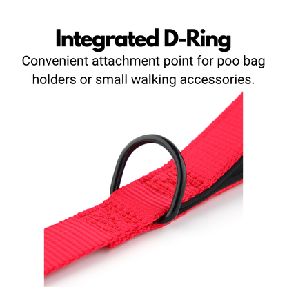 Double Handle Dog Lead - Padded Dog Leash With Two Handles - 180cm