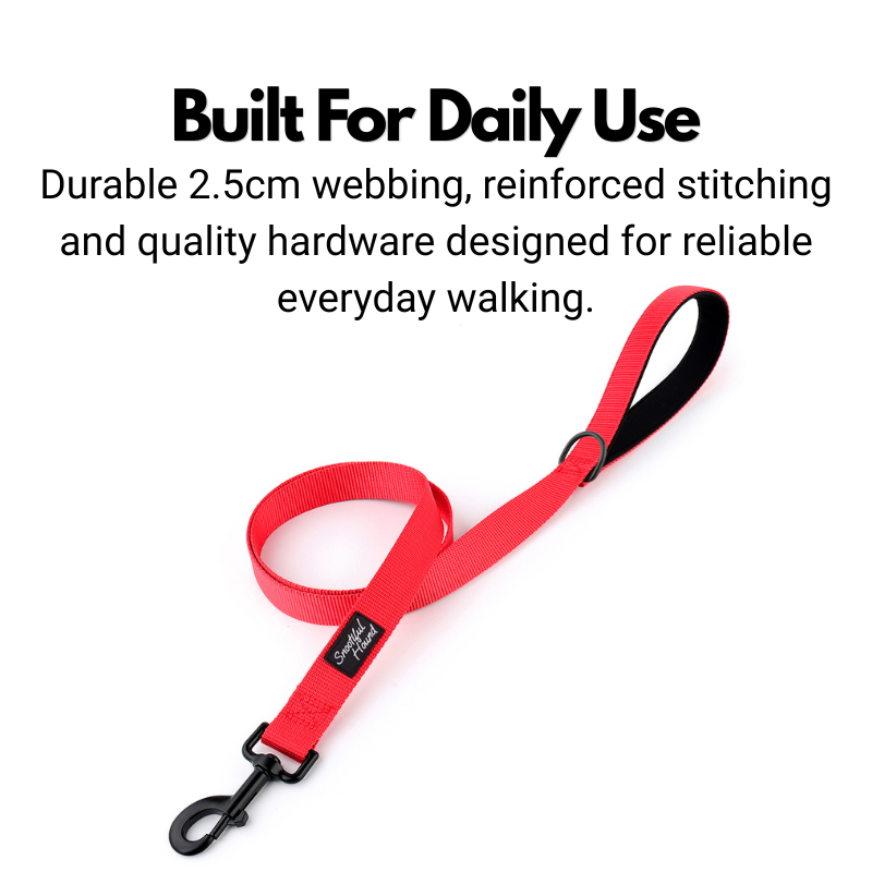 Comfort Padded Handle Dog Lead