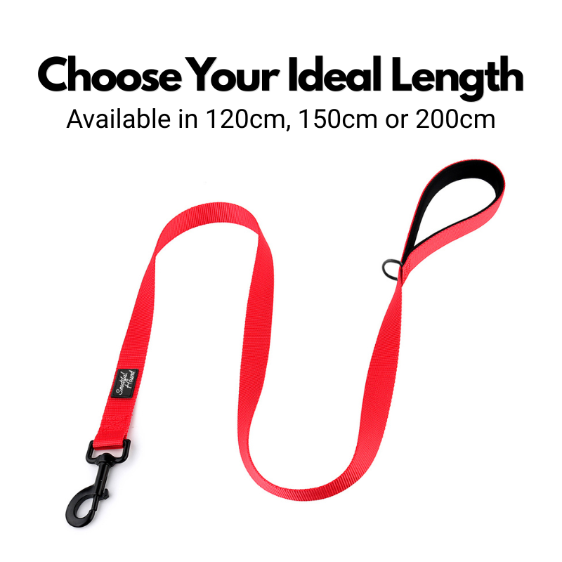 Comfort Padded Handle Dog Lead