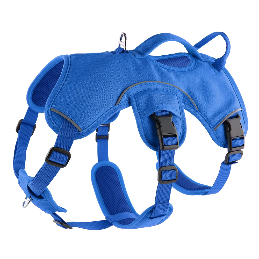 Sighthound Harness | Whippets, Greyhounds & Lurchers | Escape Proof