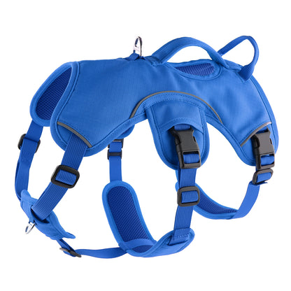 Sighthound Harness | Whippets, Greyhounds & Lurchers | Escape Proof