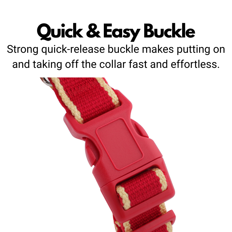 House Collar - Organic Bamboo & Soft Velvet Lining - Quick Release Buckle