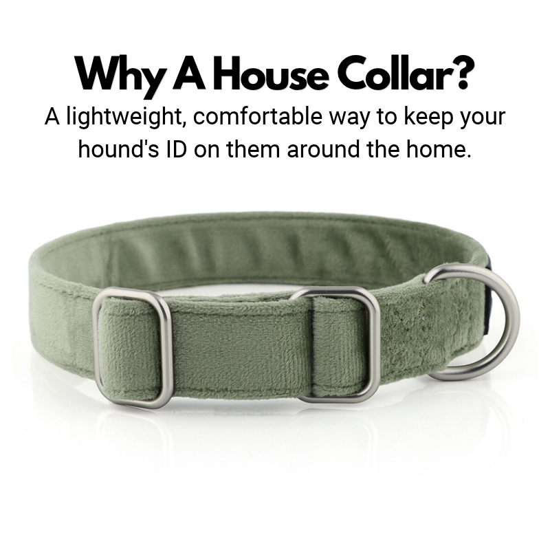Velvet House Collar For Greyhounds & Whippets - Buckleless & Comfortable