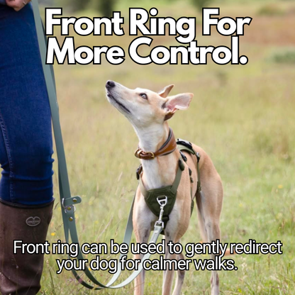 Sighthound Harness | Whippets, Greyhounds & Lurchers | Escape Proof