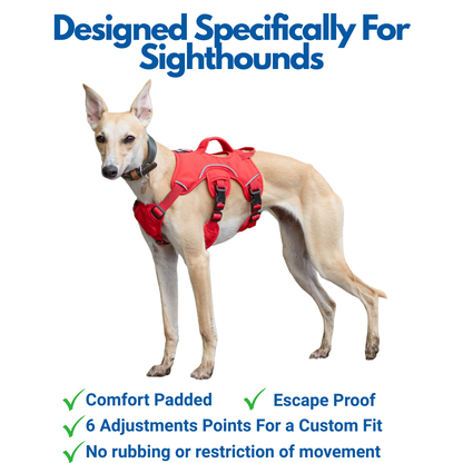 Sighthound Harness | Whippets, Greyhounds & Lurchers | Escape Proof
