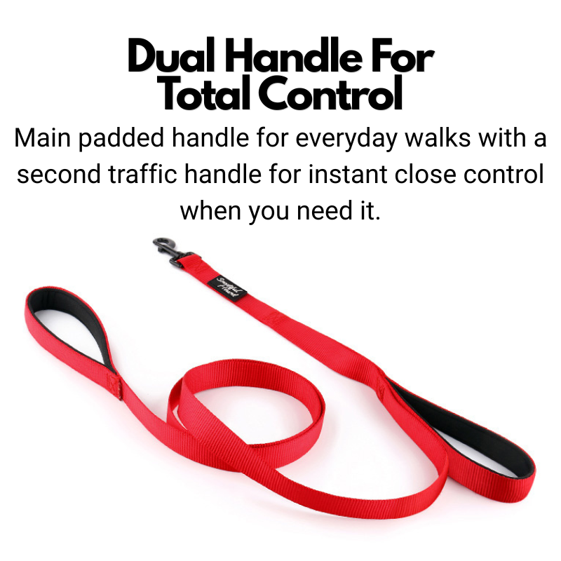 Double Handle Dog Lead - Padded Dog Leash With Two Handles - 180cm