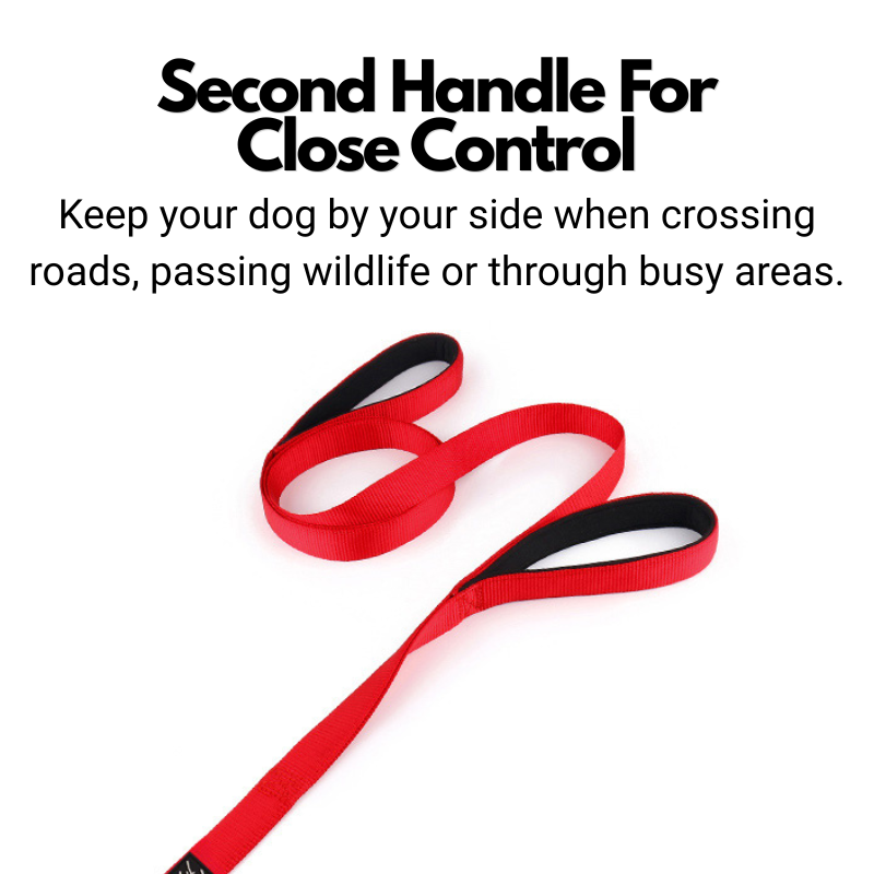 Secure Double Handle Dog Lead - Two Padded Handles & Carabiner Locking Clip