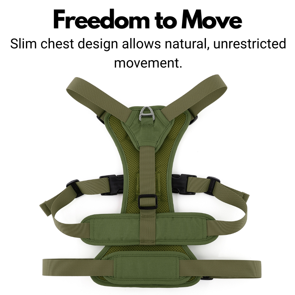 Lightweight Summer Harness for Sighthounds | Breathable, Comfortable & Escape Proof