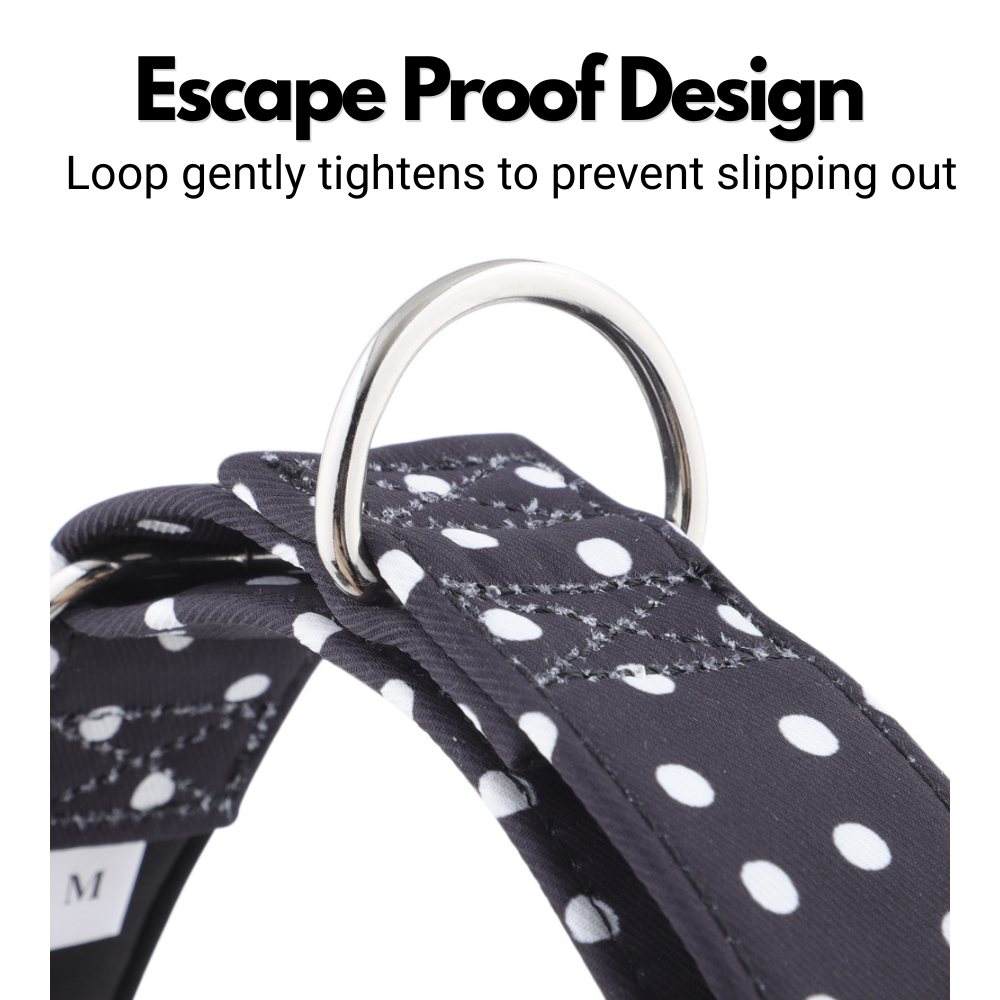 Black & White Polka Dot Martingale Collar for Sighthounds - Padded