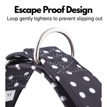 Black & White Polka Dot Martingale Collar for Sighthounds - Padded