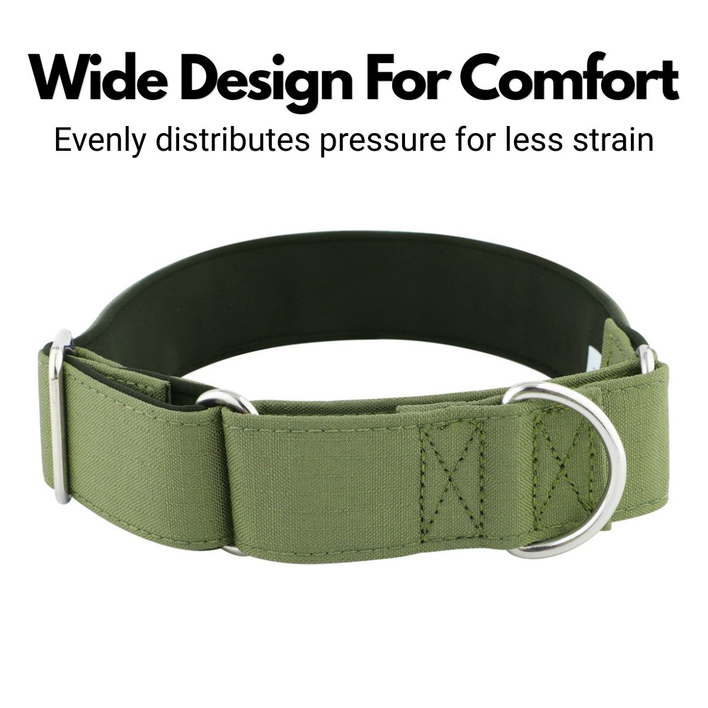 Olive Green Padded Martingale Collar for Sighthounds