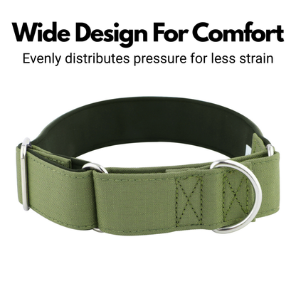 Olive Green Padded Martingale Collar for Sighthounds
