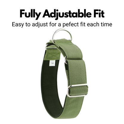 Olive Green Padded Martingale Collar for Sighthounds