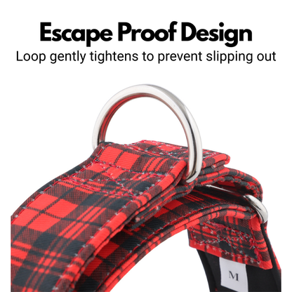 Red Tartan Check Martingale Collar for Sighthounds - Padded