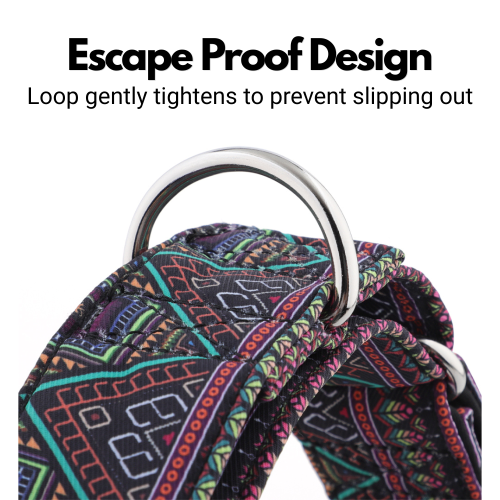 Aztec Style Martingale Collar for Sighthounds - Padded