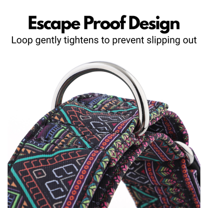 Aztec Style Martingale Collar for Sighthounds - Padded