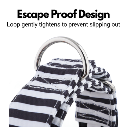 White & Black Striped Martingale Collar for Sighthounds - Padded