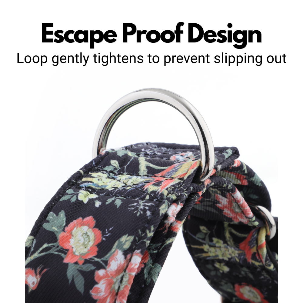 Black Floral Martingale Collar for Sighthounds - Padded