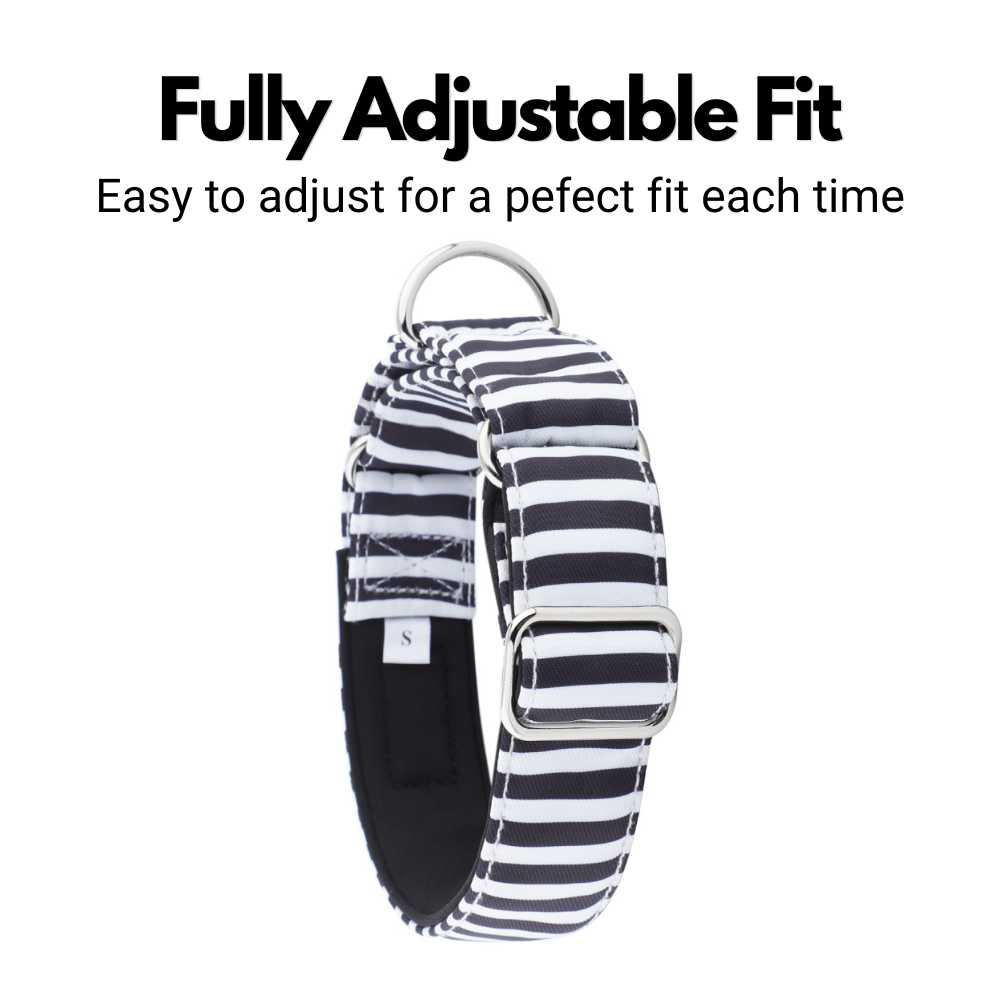 White & Black Striped Martingale Collar for Sighthounds - Padded