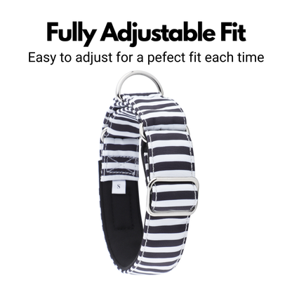 White & Black Striped Martingale Collar for Sighthounds - Padded