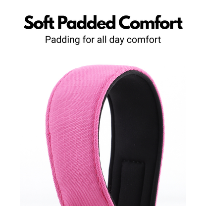 Pink Padded Martingale Collar for Sighthounds
