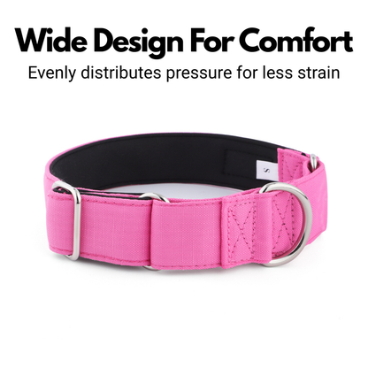 Pink Padded Martingale Collar for Sighthounds