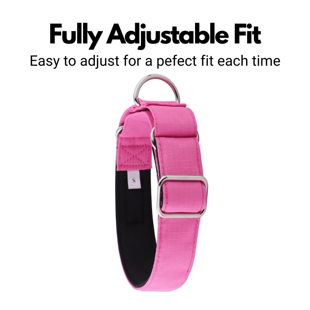 Pink Padded Martingale Collar for Sighthounds