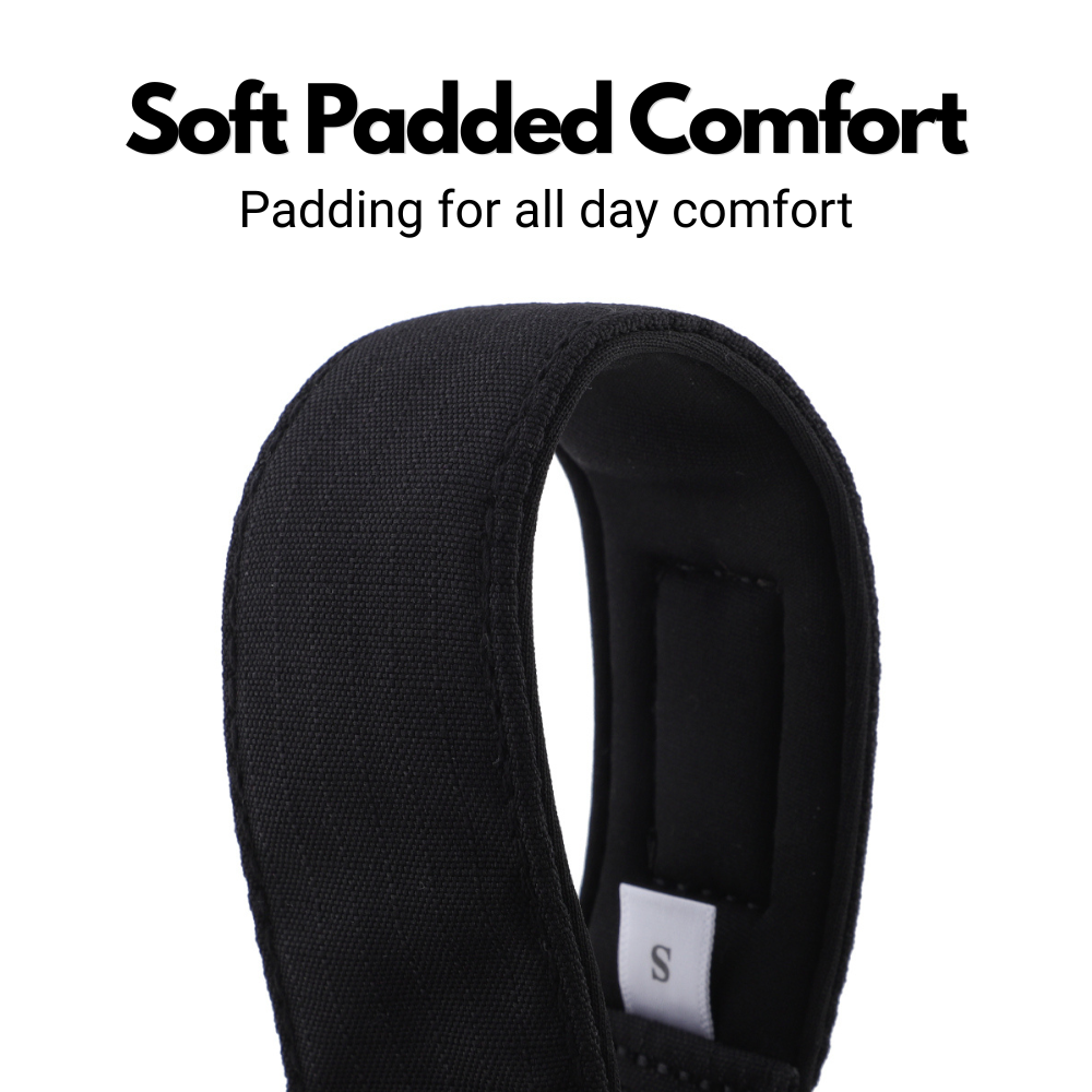 Black Padded Martingale Collar for Sighthounds